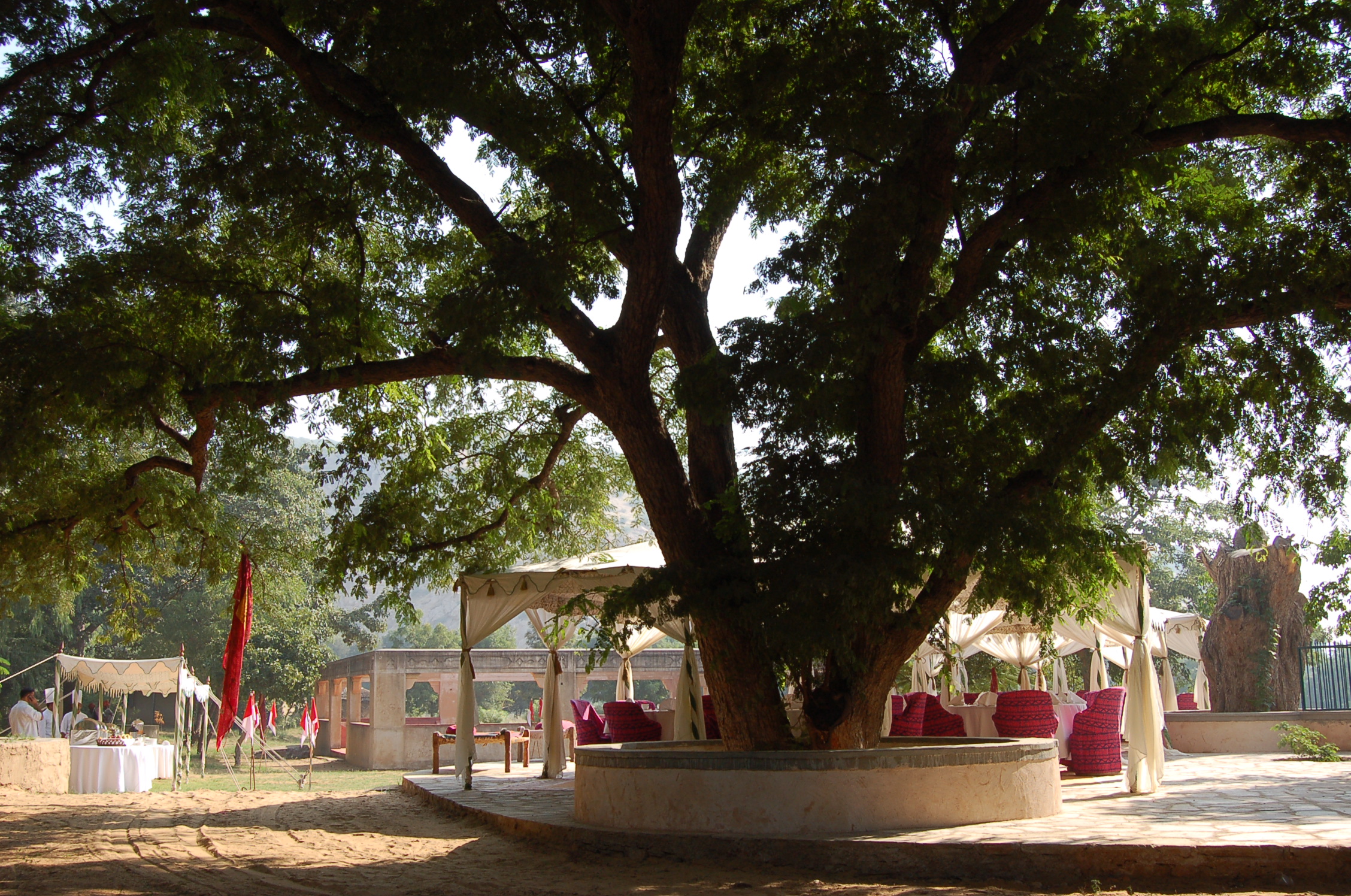 Image from Farm Lunch - Samode